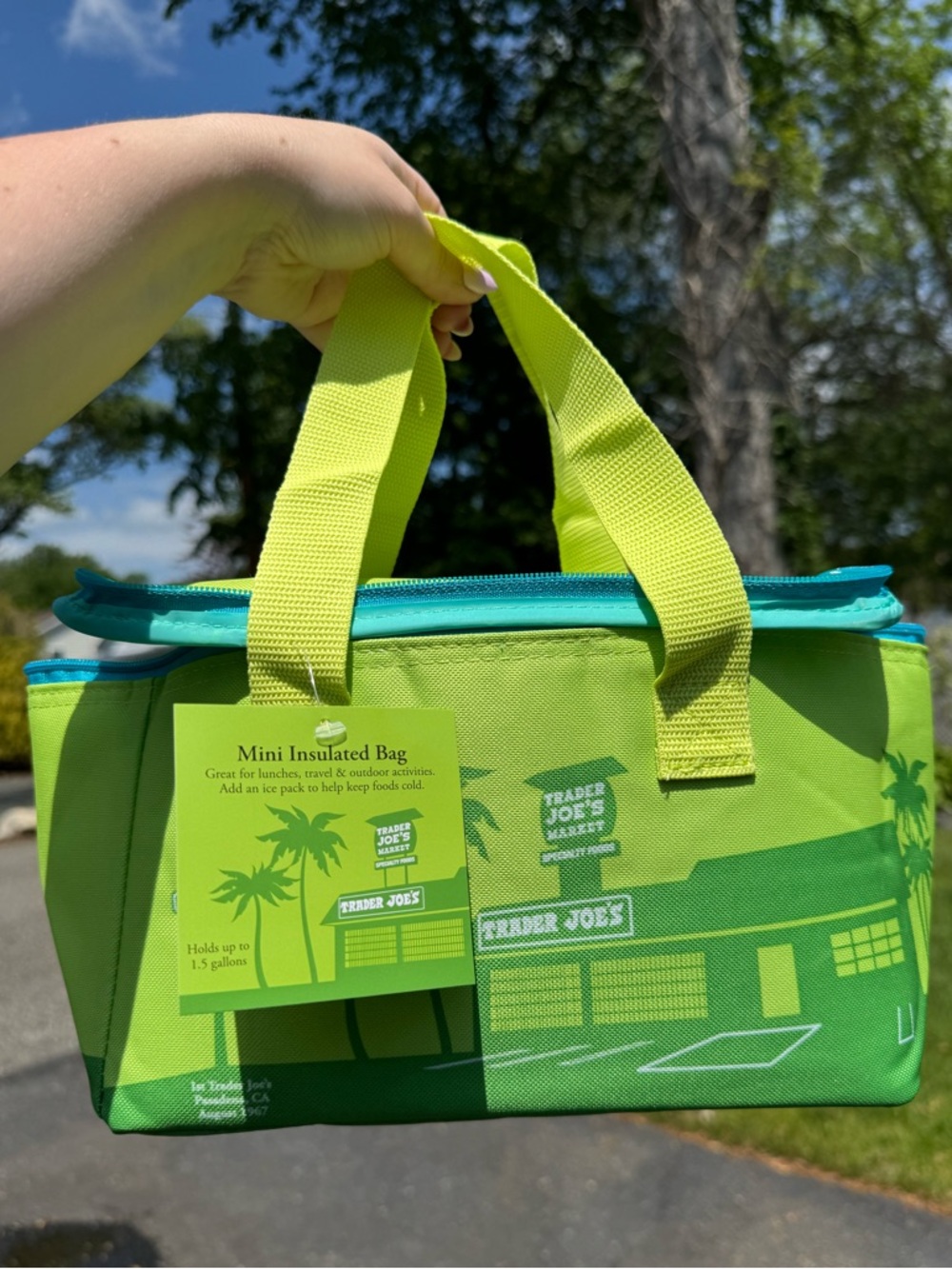 NWT! Trader Joe's Lime Green & Turquoise Insulated Mini Cooler Bag Tote may 2026